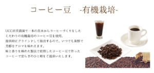 コーヒー豆有機栽培
